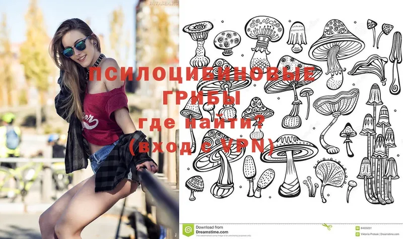 Псилоцибиновые грибы MAGIC MUSHROOMS  Городовиковск 